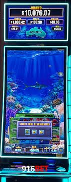 Desvendando o Mundo dos Jogos Virtuais na 916bet